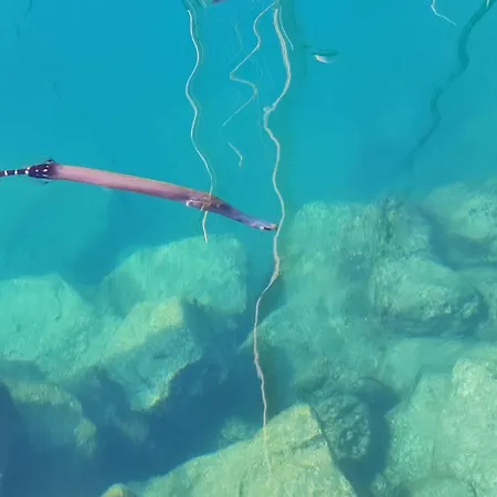 Appartement Canaima 307 *